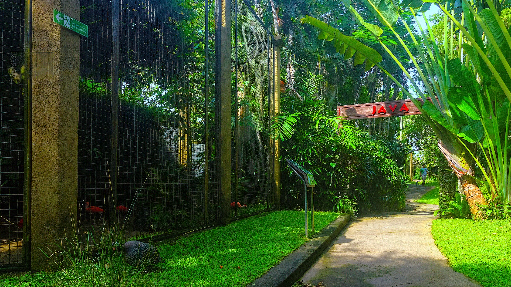 Bali Bird Park Admission Ticket